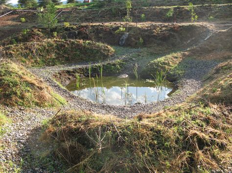 Vernal pond/crater garden (Sepp Holzer forum at permies) Food Forest Garden, Permaculture Gardening, Permaculture Design, Forest Garden, Pond Design, Edible Landscaping, Rain Garden, Sustainable Garden, Home Vegetable Garden