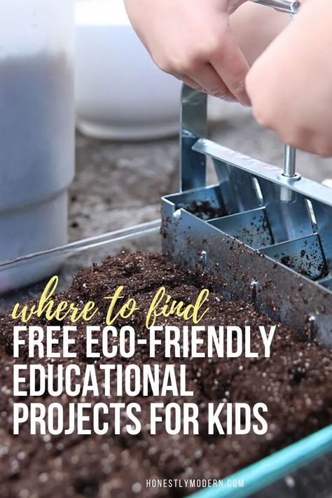 Recycling Projects For School, Environmental Education Activities, Sustainability Activities, Ecology Projects, Ap Environmental Science, Sustainability Kids, Sustainability Projects, Education Tips, At Home Science Experiments