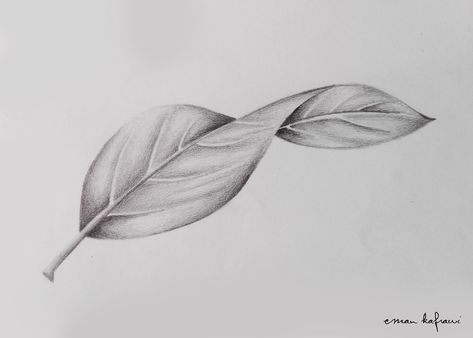 Realistic Leaf Drawing, Leave Drawing, Still Life Pencil Shading, Leaf Sketch, Leaves Drawing, Leaves Sketch, Cool Tattoo Drawings, Tree Drawings Pencil, Leaves Art