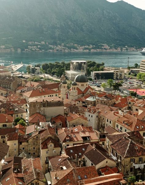 Kotor Montenegro Old Town, Kotor Old Town, Withdrawal Slip, Montenegro Aesthetic, Montenegro Summer, Montenegro Beach, Montenegro Kotor, Montenegro Travel, Mediterranean Aesthetic