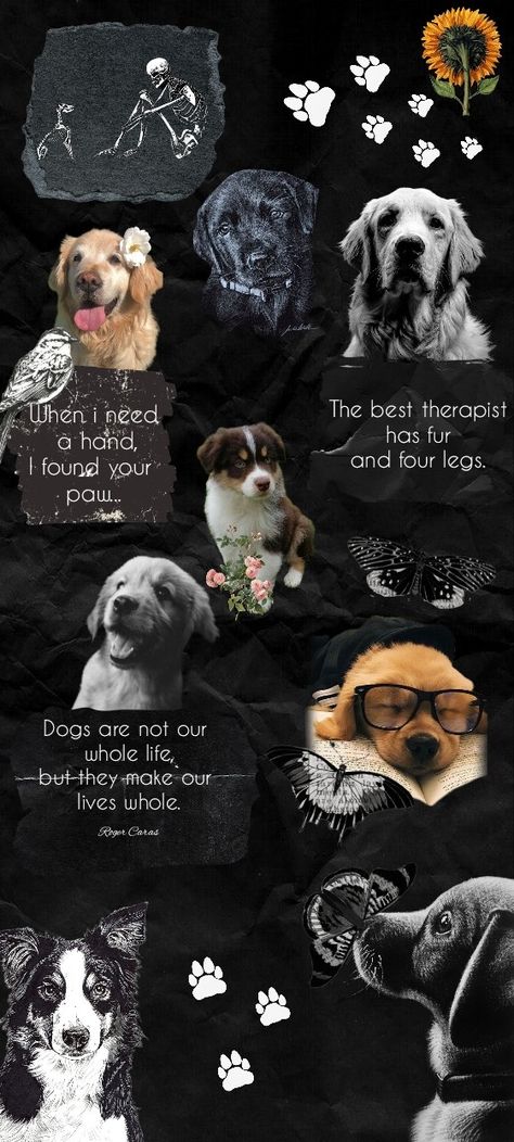 A wallpaper about dogs, vintage black and white aesthetic Dogs Paw Wallpaper, Pet Lover Wallpaper, Dog Lovers Aesthetic, Dark Dog Wallpaper, I Love Dogs Wallpaper, Dog Quotes Wallpaper, Dog Paw Wallpaper Aesthetic, Dogs Aesthetic Dark, Aesthetic Dog Wallpaper Iphone