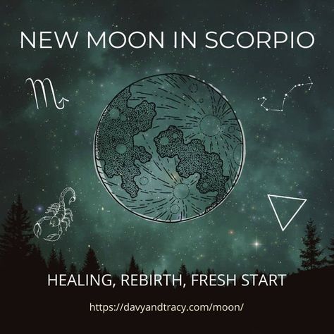 New Moon In Scorpio 2024, Aesthetic Scorpio, Blessing Party, Scorpio New Moon, New Moon In Pisces, New Moon In Scorpio, Moon In Pisces, Moon In Scorpio, New Moon Rituals