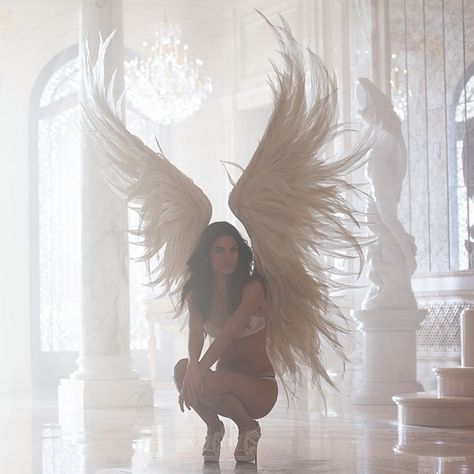 Wings, Tulle, Sparkle! Victoria’s Secret Holiday 2014 Behind the Scenes Pdp Discord, Victoria Secret Wings, 2014 Aesthetic, Victoria's Secret Aesthetic, Victoria Secret Angel Wings, Victoria Secret Model, Victoria Secret Models, Fav Color, Ange Demon