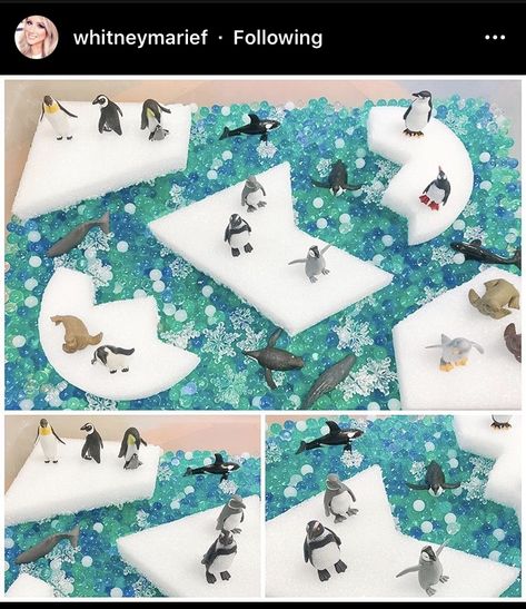 Arctic Animal Activities, Arctic Animals Activities, Sensory Bin For Toddlers, Arctic Animals Crafts, Winter Activities Preschool, Winter Classroom, Polar Animals, Winter Activities For Kids, Winter Preschool