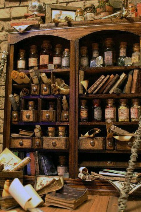 Buku Harry Potter, Fotografi Vintage, Cabinet Of Curiosities, Witch House, Witch Aesthetic, Book Shelf, Art Studios, Apothecary, Dark Side