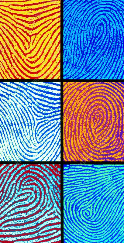 Fingerprint Illustration, Fingerprint Graphic Design, Fingerprints Art, Fingerprint Pattern, Fingerprint Design, Finger Print, Fingerprint Artwork, Science Artwork, Fingerprint Art