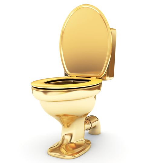 Guggenheim Museum Presents… A Solid Gold Toilet - Cultivating Culture Fancy Toilets, Maureen Wroblewitz, Golden Toilet, Mexican Tile Bathroom, Ladies Restroom, Gold Toilet, Stall Door, Ladies Room, Toilet Sink