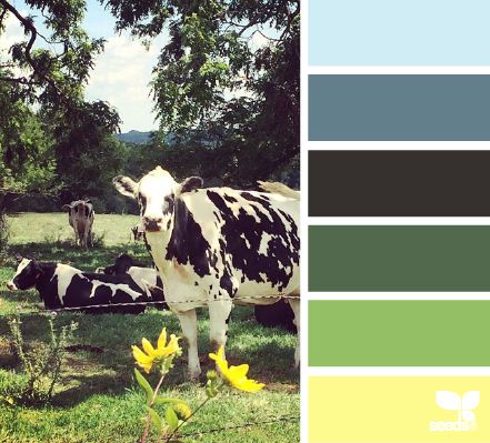 Color pasture Seeds Color, Deco Retro, Color Palate, Design Seeds, A Cow, Color Stories, On The Ground, World Of Color, Color Textures