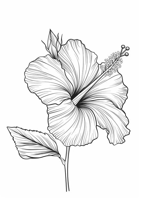 Hibiscus Flower Coloring Page Hibiscus Coloring Page, Hibiscus Flower Illustration, Hibiscus Illustration, Applic Work, Hibiscus Flower Tattoos, Color Book Pages, Inspirational Digital Art, Flower Tattoo Drawings, Line Art Illustration