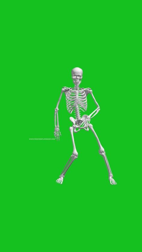 Green Screen Animation, Ladybug E Catnoir, Skeleton Dancing, Green Screen Footage, Free Green Screen, Skeleton Dance, Editing Video, Logo Design Video, First Youtube Video Ideas