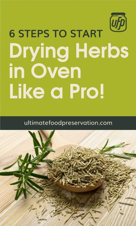 Drying Fresh Herbs In Oven, How To Dry Fresh Herbs In The Oven, Oven Drying Herbs, Dry Herbs In Oven, Dehydrating Herbs In Oven, Drying Oregano In Oven, How To Dry Rosemary In Oven, Drying Thyme Fresh Herbs, How To Dehydrate Herbs