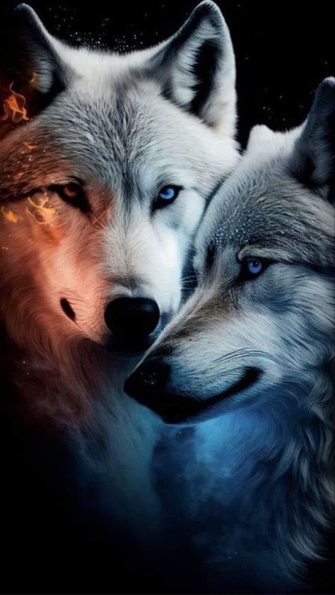 Wolves Couple, Lup Singuratic, Wolf Art Fantasy, Night Wolf, Wolf Clothing, Animal Tattoo Ideas, Wolf Background, Wolf Artwork, Velveteen Rabbit