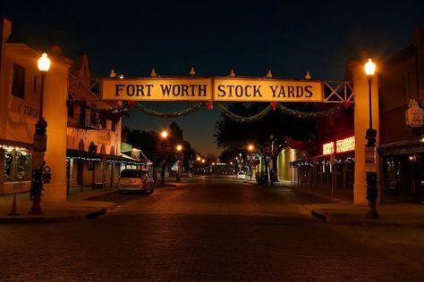 celebrate a cowboy christmas in Texas at Forth Worth at the stockyards Fort Worth Zoo, Popular Things, Fort Worth Stockyards, Texas Christmas, Cattle Drive, How To Book A Cruise, Big Bend National Park, Swing Set, Travel News