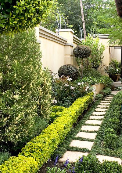 Dwarf Mondo Grass Landscape Remodel, Grass Pavers, Garden Gates And Fencing, Garden Pavers, Courtyard Ideas, Green Terrace, Gardens Of The World, Grass Flower, Areas Verdes