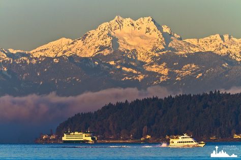 Seattle View of Olympic Mountains Olympic Mountains Tattoo, Crystal Mountain Washington Art, Seattle Life, Olympic Peninsula Washington, Cascade Mountains Washington, Living In Washington State, Cascade Mountain Range, Wa State, Olympic Mountains