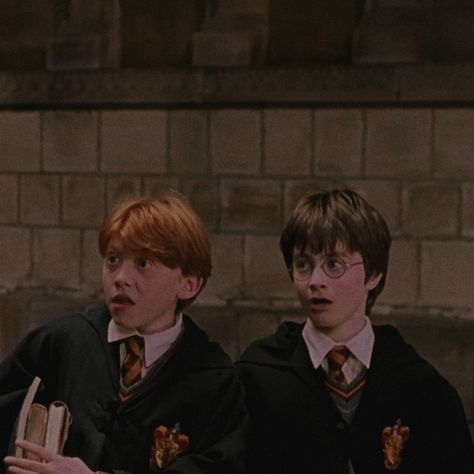 Meme Harry Potter, Harry Hermione, Ron And Harry, Ronald Weasley, Potter Aesthetic, Harry Potter Ron, Harry Potter Icons, Images Harry Potter, Golden Trio