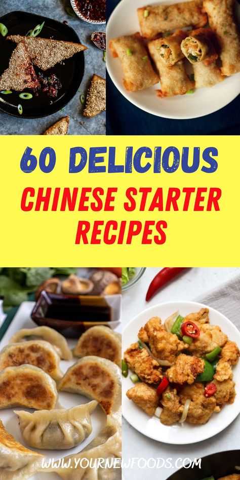 Chinese Appetizer Recipes. Whether you are looking for a quick and easy recipe to cook for dinner, or you are looking for something to serve at a dinner party, our Chinese appetizer recipes have got you covered. These delicious Chinese appetizers have these step-by-step instructions. this makes it easier than you think to make your favorites at home. With over 60 amazing starter recipes to choose from. All you have to do is choose which is your favorite Asian Appetizer. Asian Dinner Party Recipes, Chinese Food Appetizers Simple, Asian Starter Recipes, Chinese Potluck Ideas, Asian Food Ideas For Party, Chinese Starters Appetizers, Chinese Dinner Party Menu Ideas, Chinese Appetizers For Party, Chinese Snack Recipes