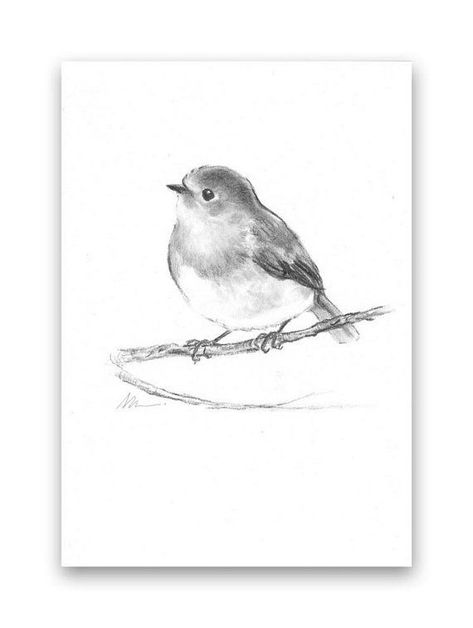 Nursery Black And White, Robin Bird Tattoos, White Bird Tattoos, Robin Drawing, Robin Tattoo, Black And White Birds, Bird Sketch, Bird Tattoo, Robin Bird