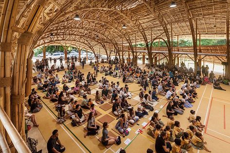 Modern Organic Design, Bamboo Building, Sports Hall, Bamboo Structure, Bamboo Architecture, Organic Structure, Bamboo Construction, Green School, Genius Loci