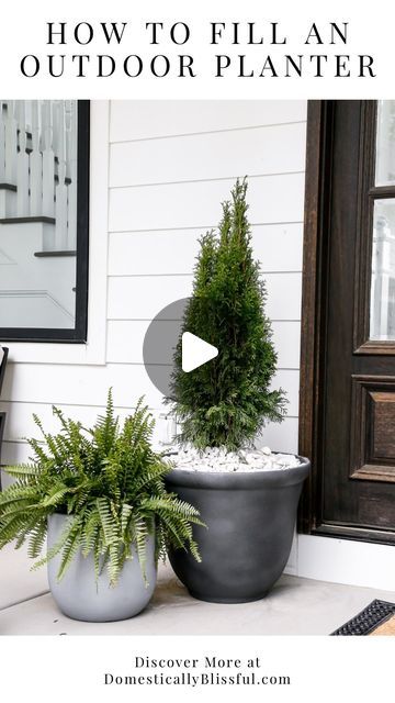 Giustina | DIYs • Recipes • Home Inspiration on Instagram: "Like + Comment “Fill23” to get the links & tutorial instantly sent to your DM.  Want to know a secret?  Last year I stopped putting dirt in my big planters.  And when I made these faux concrete planters this spring I again opted for random filling instead of dirt.  I love to change out my front porch plants seasonally so choosing filling over dirt makes the swapping process easier.  We already have plans to plant these evergreen trees somewhere else come the end of the season, when I swap them for the faux fall maple trees I made for our front porch.  In the past, I’ve used Spanish moss to top the planters, but I thought it looked a little hairy when combined with these evergreens, so I opted for small marble rocks.  I used packin Front Porch Plants, Big Planters, Marble Rock, Porch Plants, Maple Trees, Faux Tree, Artificial Trees, Spanish Moss, Landscaping Design