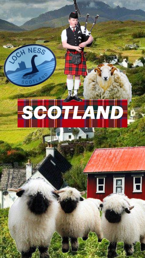 #scotland #scotlandaesthetic Loch Ness Scotland, Scotland Aesthetic, Connect With People, Your Aesthetic, Creative Energy, Scotland, Energy