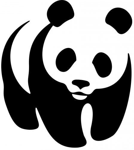 Wwf Logo, Logo Meaning, Panda Names, History Logo, Blue Man Group, London Zoo, General Knowledge Facts, Bold Fonts, Giant Panda