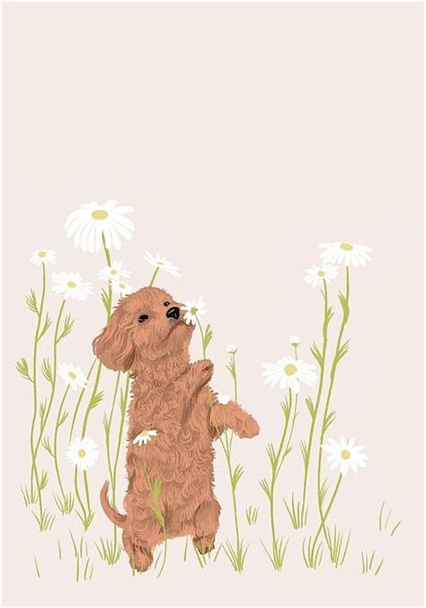 Puppy Wallpaper Iphone, Poodle Drawing, Dog Memorial Tattoos, Watercolor House Painting, Cute Dogs Images, Iphone Wallpaper Classy, 강아지 그림, Iphone Background Wallpaper, Dog Drawing