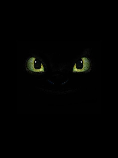 Toothless Wallpaper, Cat Dragon, Disney Channel Movies, Dragon Wallpaper Iphone, Funny Lockscreen, Httyd Art, Pokemon Charizard, Cute Mobile Wallpapers, Dragon Trainer