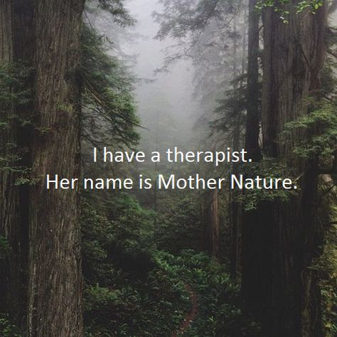 Love Nature Quotes, Nature Lover Quotes, Forest Quotes, Mother Nature Quotes, Earth Quotes, Place Quotes, Nature Witch, Quotes Nature, Therapy Quotes