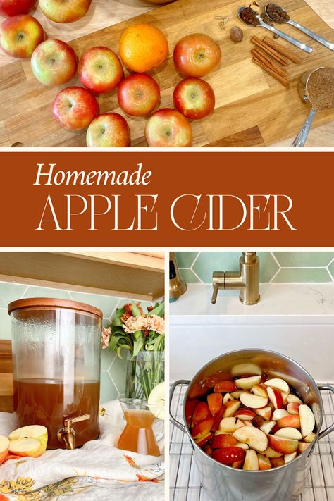 Homemade Apple Cider | Shine Daily Canning Homemade Apple Cider, Quick Apple Cider Recipe, Fresh Apple Cider Recipe, Recipe For Apple Cider, Apple Cider On The Stove, Canning Apple Cider Recipes, How To Can Apple Cider, Best Apple Cider Recipe, Homemade Cider Recipe