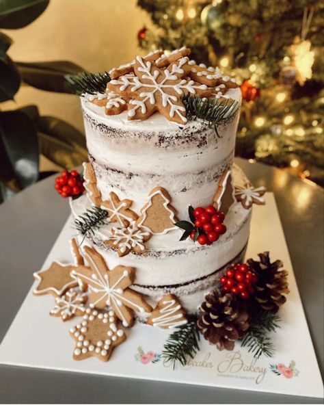 Naked Christmas Cake, Santa Baby Cake, Christmas Naked Cake, Christmas Themed Birthday Cake, Christmas Baptism Ideas, December Birthday Cake Ideas, Christmas Smash Cake 1st Birthdays, Baby It’s Cold Outside Cake, White Smash Cake