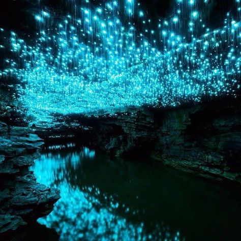 Waitomo Caves, Glow Worm Cave, Glow Worms, Glow Worm, Wallpaper Animes, The Cave, Tumblr Wallpaper, Magical Places, Beautiful Places To Visit