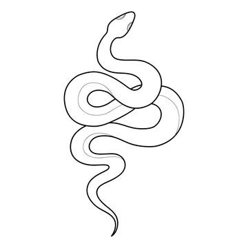 Snake Outline Tattoo Design, Outline Snake Tattoo, Snake Outline Tattoo, Snake Tattoo Outline, Simple Snake Tattoo, Snake Outline, Snake Tattoo Meaning, Tattoo Snake, Tato Henna