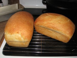 Sourdough Starter Recipe With Potato Flakes, Sweet Sourdough Bread, Sweet Sourdough Bread Recipe, Sourdough Bread Machine, Sun Oven, Friendship Bread Recipe, 100 Whole Wheat Bread, Homemade Sourdough Bread, Bread Starter