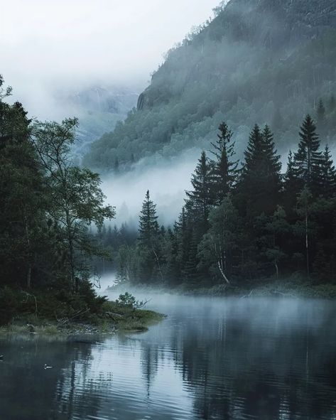 The image is a beautiful landscape of a lake and mountains. The water is calm and still, and the trees are reflected in the water ->> more details in ai-img-gen.com Foggy Ocean, Misty Nature, Lake Aesthetics, Foggy Woods, Lake And Forest, Mountains And Water, Foggy Beach, Dark Lake, Foggy Lake