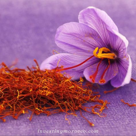 Saffron Health Benefits, Spanish Saffron, Vertical Landscape, Cooking Healthy, Personalized Photo Gifts, Nature Wall Art, Poster Size, Agriculture, Nature Art