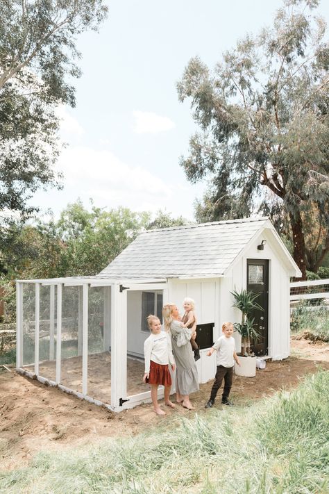 Garden Shed With Chicken Coop, Chicken Coop Attached To Garden, Garden Answer Chicken Coop, Stylish Chicken Coop, Amazon Chicken Coop, 8x12 Chicken Coop, Shed And Chicken Coop Combo, Chicken Coop Attached To Shed, Chicken Coop And Greenhouse Combo