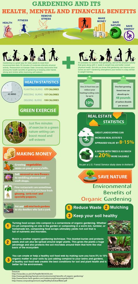 #INFOgraphic > Gardening is Good: You know that “green” is good. But how much good does green-making return? Benefits from gardening range from personal to communal.   > http://infographicsmania.com/gardening-is-good/?utm_source=Pinterest&utm_medium=INFOGRAPHICSMANIA&utm_campaign=SNAP Gardening Infographic, Benefits Of Gardening, Organic Gardening Tips, Community Gardening, Urban Farming, Veggie Garden, Horticulture, Organic Gardening, Green Thumb