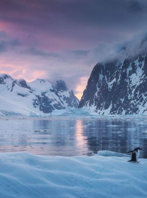 Lemaire Channel Sunset (Antarctica) by Daniel Kordan   Antarctica Travel Destinations | Antarctica Honeymoon | Antarctica Vacation | Antarctica Photography | Antarctica Cruise | Antarctica Holiday | Antarctica Trip #travel #honeymoon #vacation #backpacking #budgettravel #offthebeatenpath #bucketlist #wanderlust #Antarctica #visitAntarctica #TravelAntarctica #AntarcticaTravel Antarctica Travel, Arctic Landscape, Biome, Snow And Ice, Places Around The World, Travel Bucket List, Travel Bucket, Travel Aesthetic, The Snow