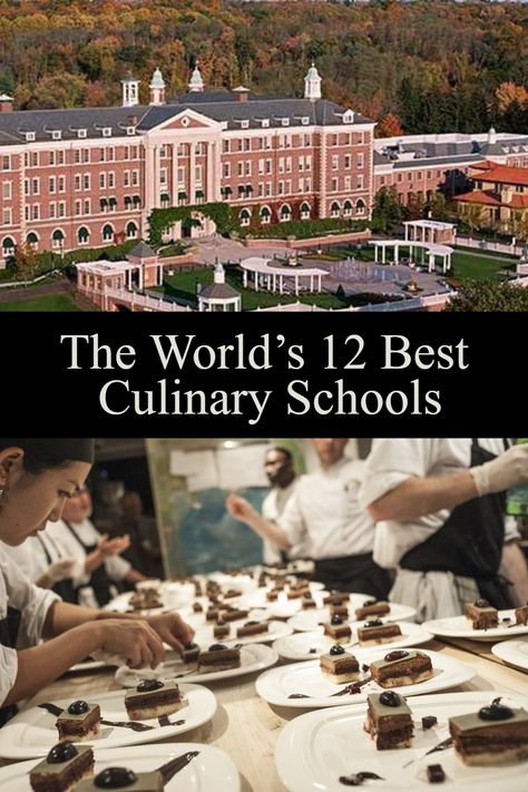 If you have plans on entering the culinary world, then one of the best ways that you can set yourself up for success is by going to culinary school. Culinary Arts Schools, Salt Block Cooking, Belgian Food, Korean Kitchen, Cuban Cuisine, Pastry School, Set Yourself Up For Success, Culinary Techniques, Cooking Courses