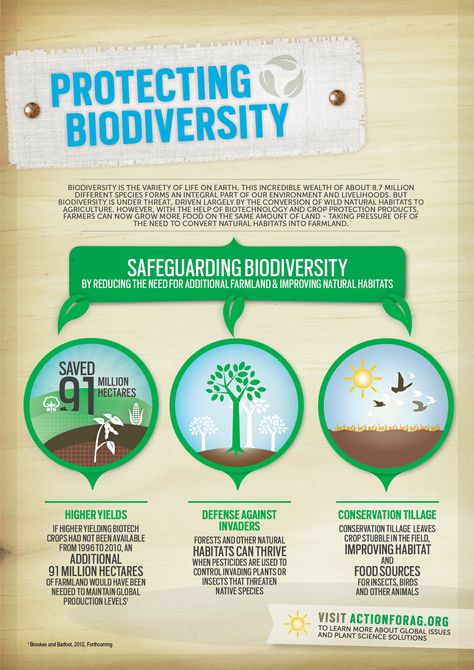 Biodiversity Infographic, Diversity Infographic, Plant Biotechnology, Bio Diversity, Science Infographics, Global Perspectives, Environmentally Friendly Living, Nature Studies, Biodiversity Conservation