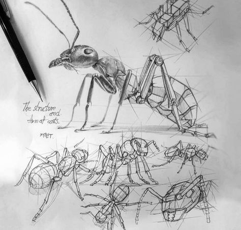 Cool Art Drawings Sketches Creative, Pencil Art Ideas, Cute Drawings For Him, Insect Anatomy, Drawings For Him, Dark Academia Art, Structural Drawing, Perspective Drawing Architecture, Gcse Art Sketchbook