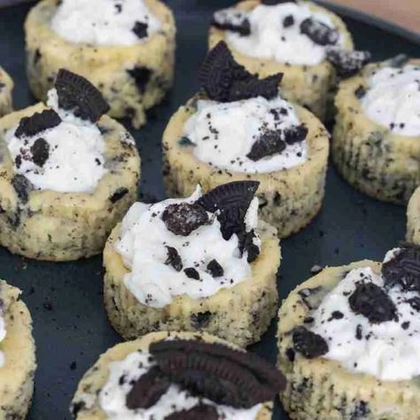 Oreo Cheesecake Bites - Attempts At Domestication Mini Cupcakes Recipe, Mini Cupcake Recipes, Oreo Cheesecake Cupcakes, Cheesecake With Whipped Cream, Oreo Cheesecake Bites, Cream Cheese Oreo, Cheesecake Lovers, Cheesecake Cupcakes, Cupcakes Recipe