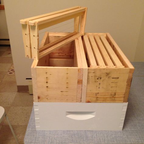 Bee Project, Bee Hives Boxes, Bee Hive Plans, Raising Bees, Money Tattoo, Bee Hives, Diy Kitchen Remodel, Cold Frame, Bee Happy