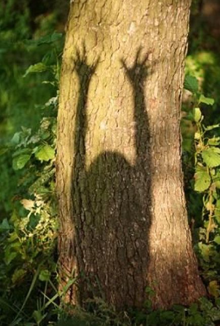 Foto Art, Captain Hook, Foto Ideas Instagram, The Shadow, 인물 사진, Land Art, Divine Feminine, Mother Earth, A Tree