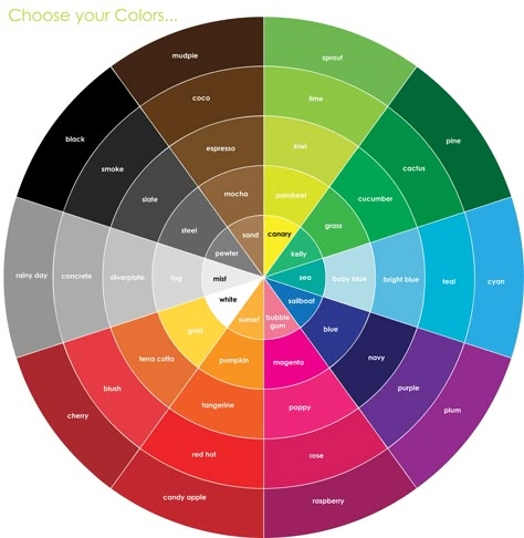 Color Wheel Brown, Color Wheel For Clothes, Color Wheel Design, Colour Wheel Theory, Birth Colors, Makeup Color Wheel, Shingle Colors, Color Mixing Chart, Wheel Art