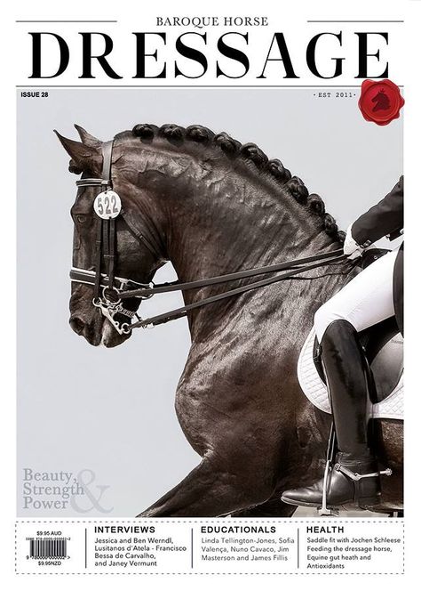 Horse Magazine Cover, Horse Posters Aesthetic, Equestrian Poster, Equestrian Magazine, Baroque Horse, Horse Poster, Horse Magazine, Grunge Posters, Equestrian Aesthetic