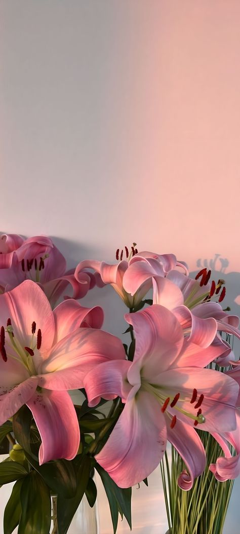 Pink Lily Wallpaper, 17 Doğum Günü, Pink Wallpaper Ipad, Pink Lilies, Lily Wallpaper, Images Hello Kitty, Nothing But Flowers, Wallpaper Nature Flowers, Iphone Wallpaper Photos