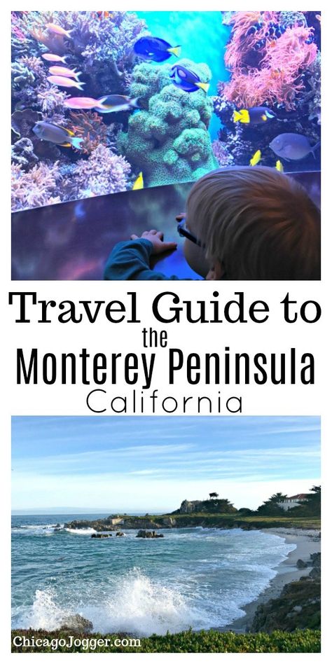 Travel Guide to the Monterey Peninsula on the central California Coast. | Chicago Jogger #traveltips #california Arizona Day Trips, Peninsula Chicago, Central California Coast, California Cities, Central Coast California, Monterey Peninsula, Beautiful California, Monterey Bay Aquarium, California City