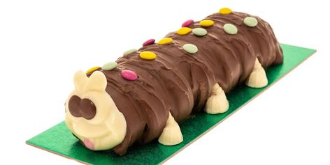 Collin The Caterpillar Cake, Colin The Caterpillar Cake, Colin The Caterpillar, Caterpillar Cake, Sweet Sixteen Birthday Party Ideas, Boo Basket, Rich Chocolate Cake, Chameleons, Classic Cake